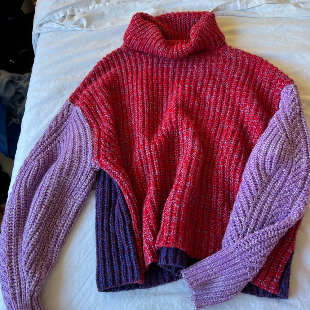Elodie colorblock turtleneck sweater